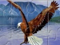 Oyunu Eagle