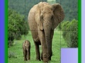 Oyunu Mother and tiny elephant slide puzzle