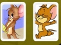 Oyunu Tom and Jerry Cards Match