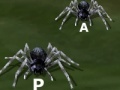 Oyunu Tarantuloid Typing Terror