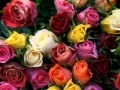 Oyunu Valentines Day