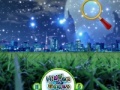 Oyunu Hidden Stars Night Beauty