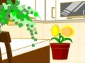 Oyunu My Kitchen