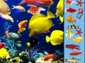 Oyunu Underwater Hidden Objects