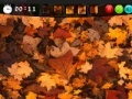 Oyunu Autumn Hidden Images