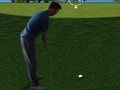 Oyunu Flash Golf 3D