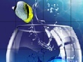 Oyunu Jumping fishes slide puzzle