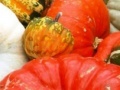 Oyunu Hidden Objects-Pumpkin Show