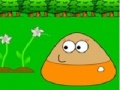 Oyunu Puzzle Pou in Garden