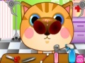 Oyunu Doctor Cat Nose
