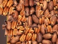 Oyunu Pecan Mosaic Jigsaw