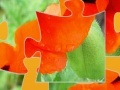 Oyunu Oriental Poppy Jigsaw