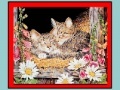 Oyunu Art Kittens Jigsaw 2
