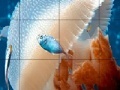 Oyunu Mosaic jellyfish slide puzzle
