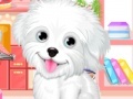 Oyunu Fluffy puppy pet: Spa and care