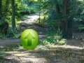 Oyunu Puzzle forest escape