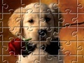 Oyunu Puzzles Little Puppy