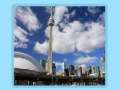 Oyunu Toronto Jigsaw