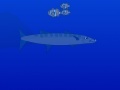Oyunu Barracuda attack