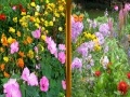 Oyunu Flowers Similarities