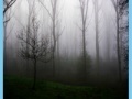 Oyunu Morning mist jigsaw