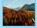 Oyunu Slovenia jigsaw