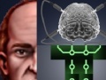 Oyunu Berts Brain
