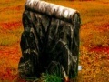 Oyunu Fall graveyard escape