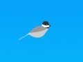 Oyunu Trampoline chickadee