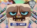 Oyunu Grumpy cat. Dental care