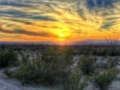 Oyunu Big Bend Desert Jigsaw