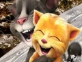 Oyunu Talking Tom and Ginger Sledging