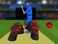 Oyunu Cricket tap catch