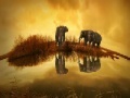 Oyunu Thailand Elephant Slider