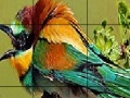 Oyunu Two Amazing Bird Puzzle