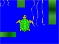 Oyunu Terry the Turtle