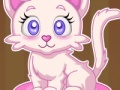 Oyunu Pet Stars Dazzling Kitty