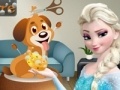 Oyunu Elsa. Dog care