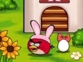 Oyunu Angry Birds Egg Saving