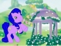 Oyunu My Little Pony: Ponyville Forever