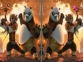 Oyunu Kung Fu Panda 2 Spot the Differences