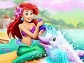 Oyunu Ariel Dolphin Wash