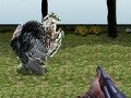 Oyunu Turkey Shooter 3D