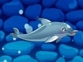 Oyunu My Dolphin Show 5