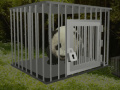 Oyunu Baby Panda Escape 
