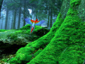 Oyunu Birds Forest Escape