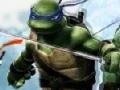 Oyunu Ninja Turtle Double Dragons 