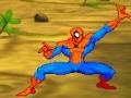 Oyunu Spiderman: Hero Training 
