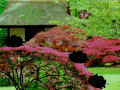 Oyunu Seasonal Garden Escape