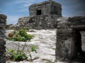 Oyunu Mystery of Mayan Stone Escape